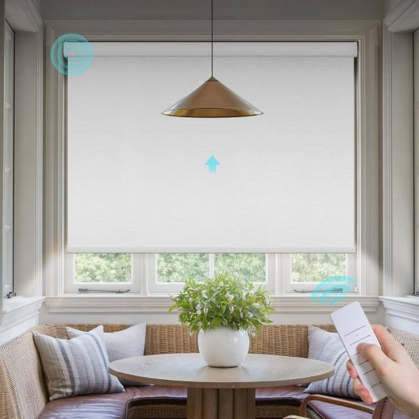 Motorize Your Existing Blinds